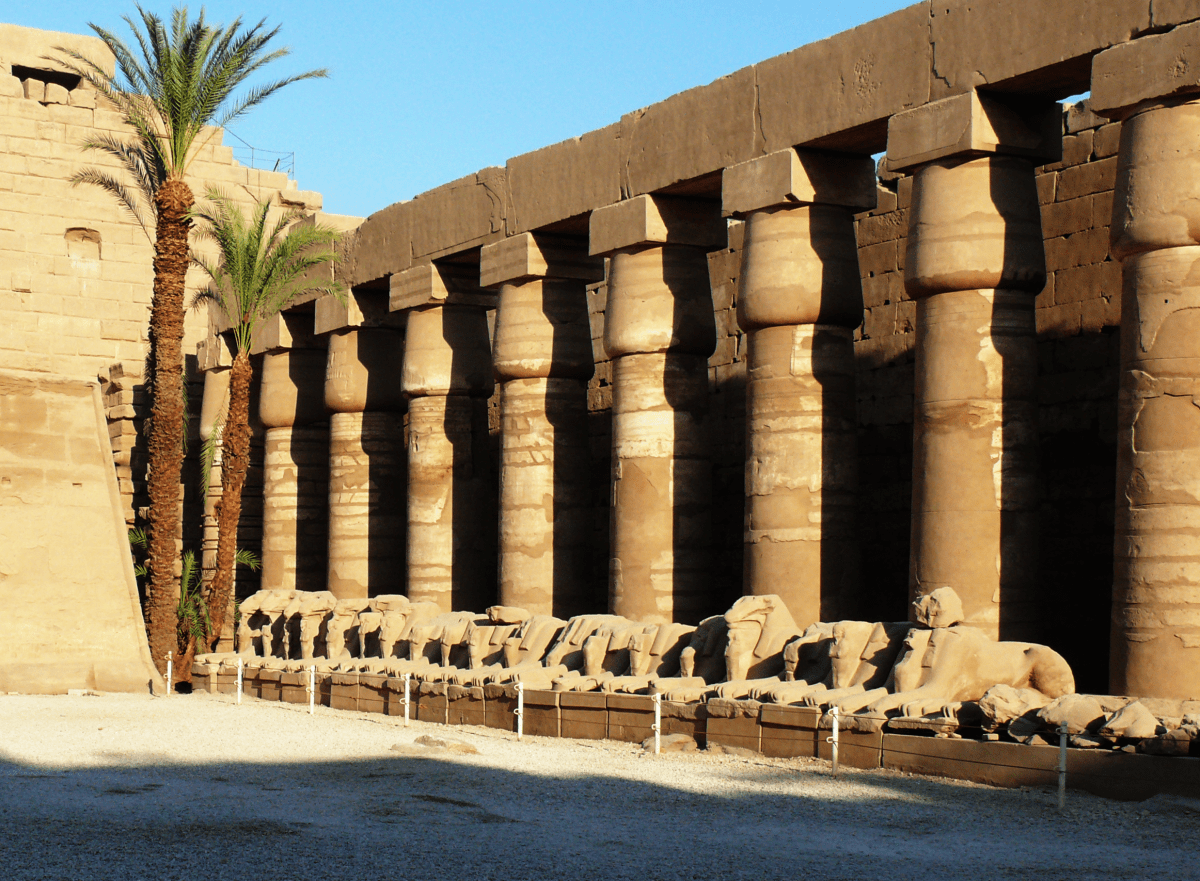 The privileged shade of Amun Temple in Egypt. Source: Wikimedia Commons