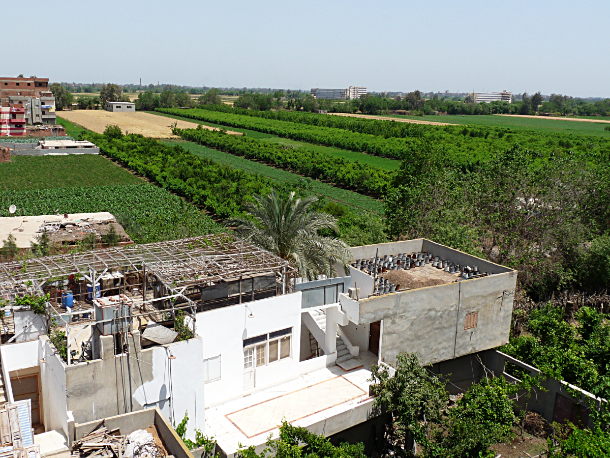 Our home in the heart of Egypt's Nile Delta. Credit: K. Vail